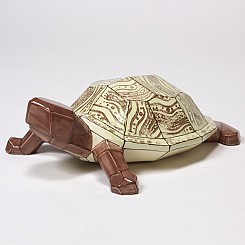 Sheer Turtle