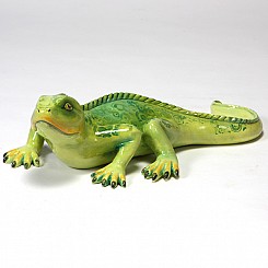 Cool Iguana (E)