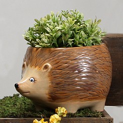 Elements Hedgehog Planter