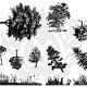 DSS-110 Botanical - Trees