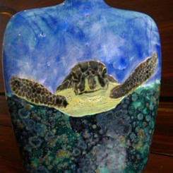 Green Sea Turtle V…