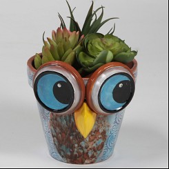 Clay Pot Owl