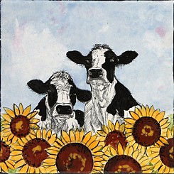 Sunflower Cows
