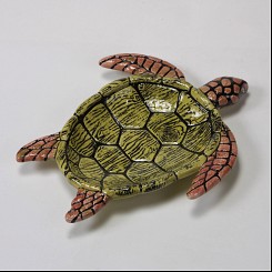 Wood Grain Turtle …