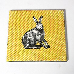 Dotted Hare