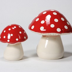 2 Magical Mushroom…