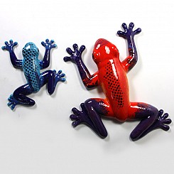 Poison Dart Frogs …