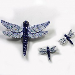 Dragonflies (E)