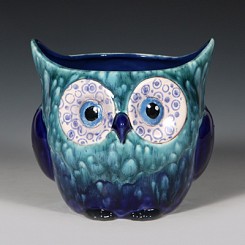 Blue Owl Plant…