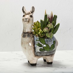 Cactus Planter Llama