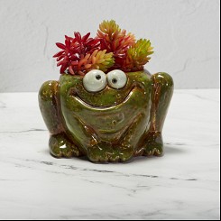 Quirky Frog Planter