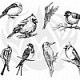 DSS-108 Aviary - Small Birds