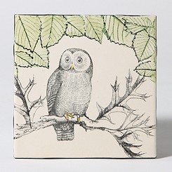 Owl with Stamped L…
