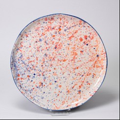 Spatter Plate